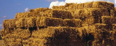 Tracting Hay Baler