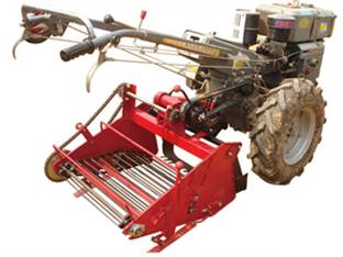 Potato harvester