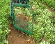Peanut harvester